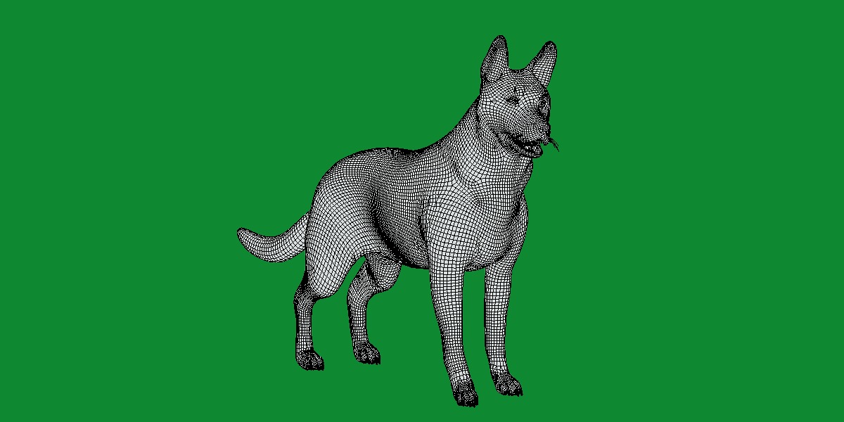 Shiloh Shepherd Dog Low-poly 3D model_18