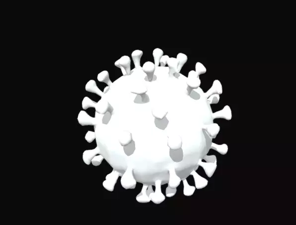 Covid19 microorganism 3D model_0