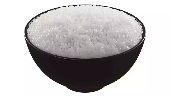 Uncooked Bowl of Rice 3D model