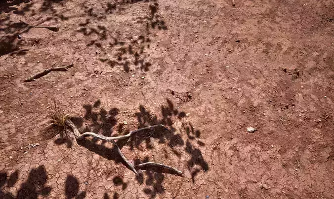 Soil 16 - Scanned Materials Textures