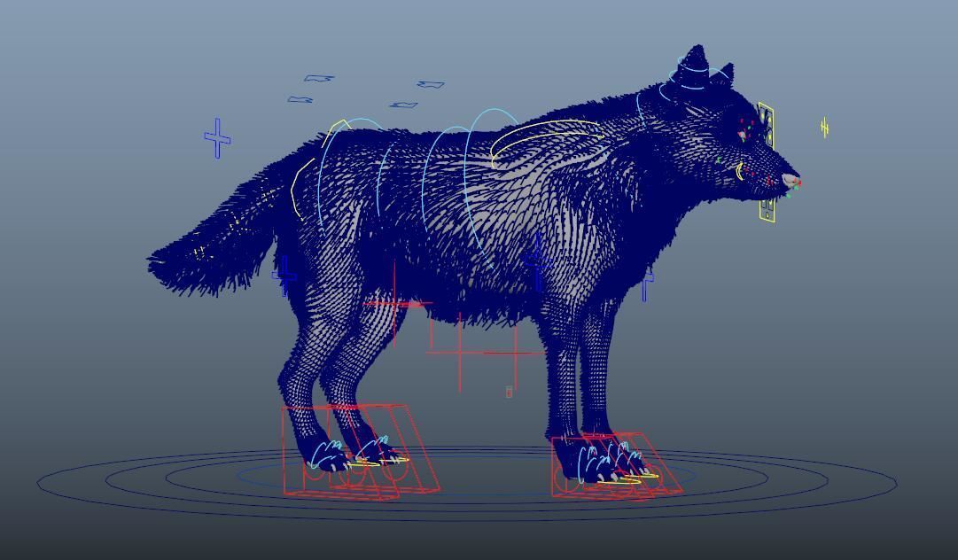 GrayWolf 3D model_6