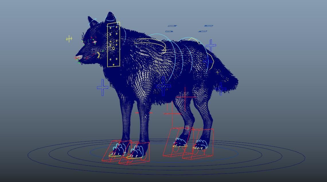 GrayWolf 3D model_5