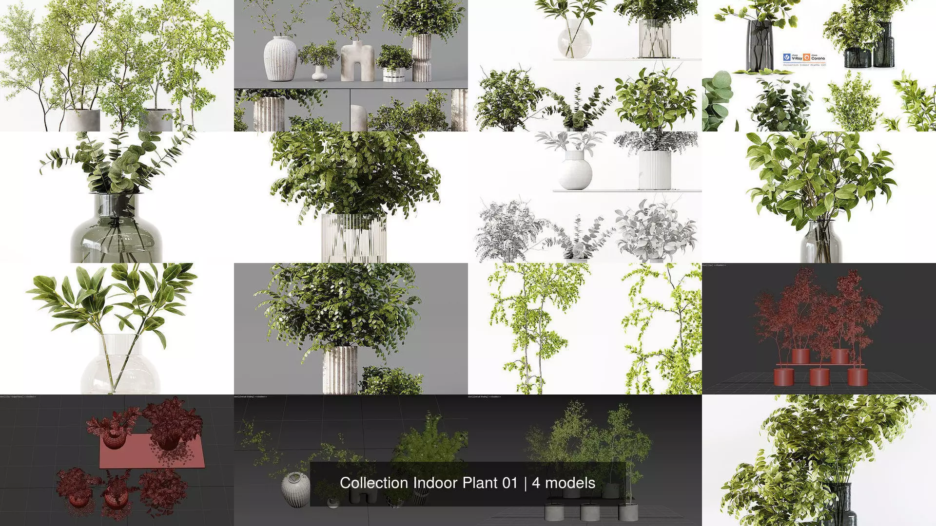 Collection Indoor Plant 01 _0