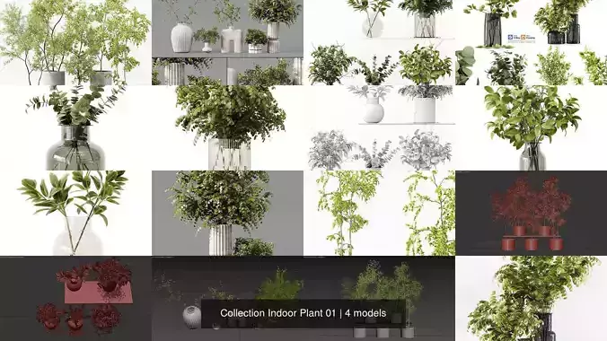 Collection Indoor Plant 01 