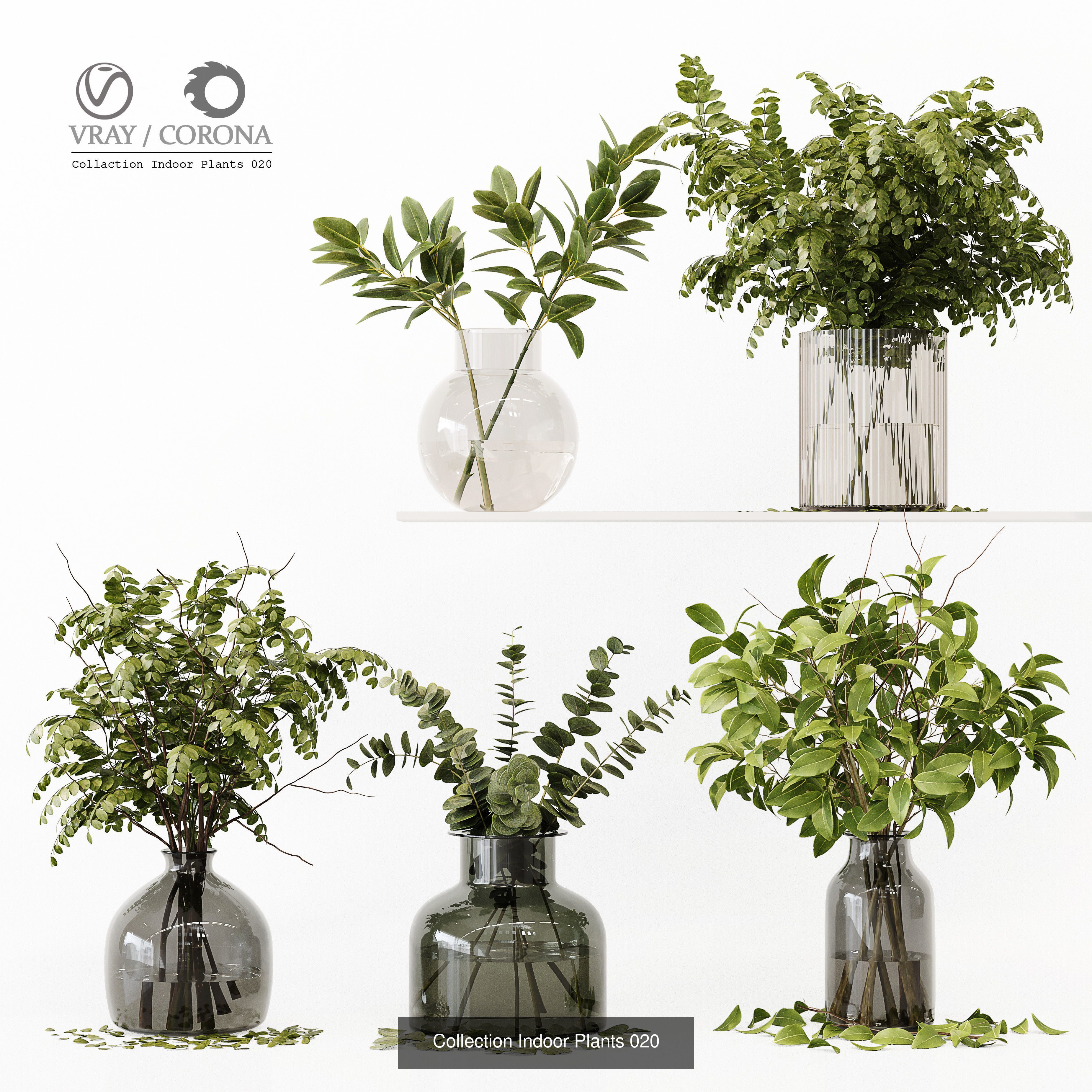 Collection Indoor Plant 01 _3