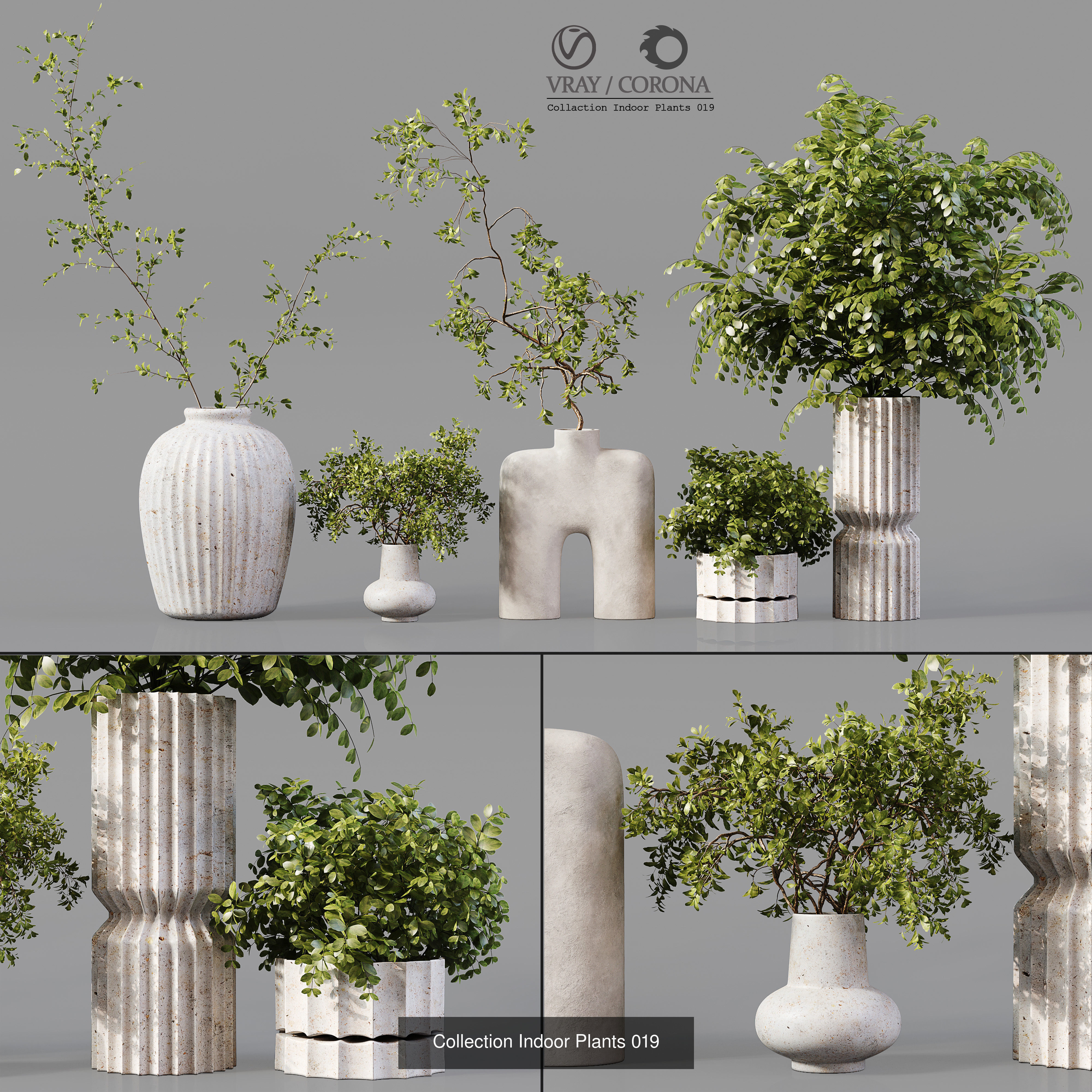 Collection Indoor Plant 01 _2