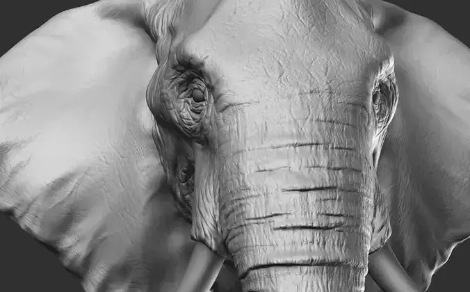 Adult African Elephant Highpoly Model 3D print model