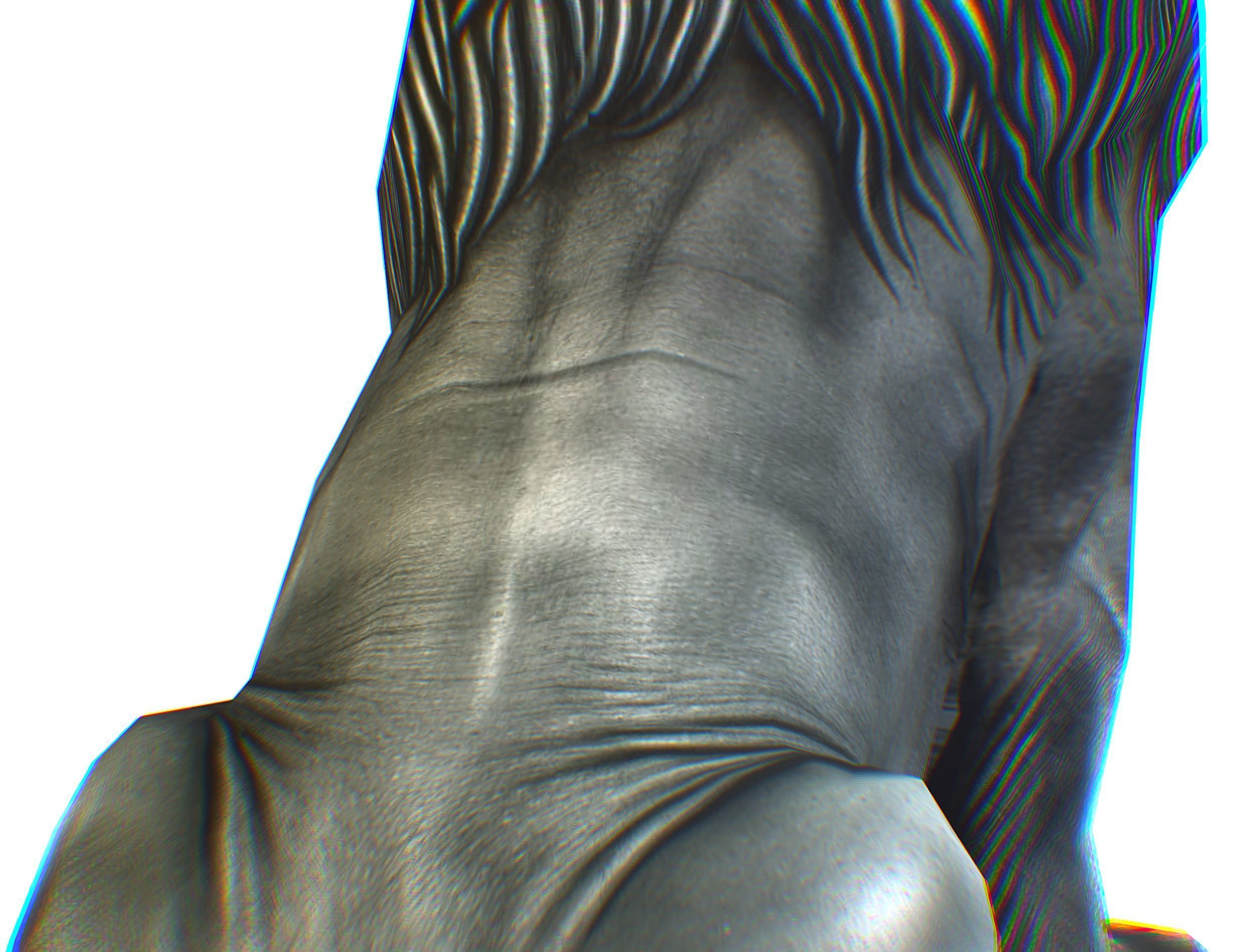 Low Poly 3d Statue Lion Dark Metal Cast Iron Low-poly 3D model_25