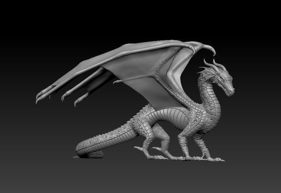 Dragon of Rainbow Tribe from Wings of Fire 3D print model_48