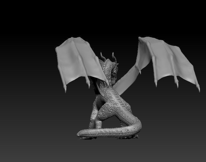 Dragon of Rainbow Tribe from Wings of Fire 3D print model_14