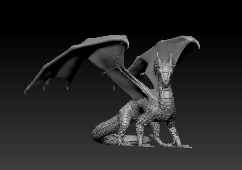Dragon of Rainbow Tribe from Wings of Fire 3D print model_44