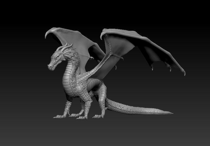 Dragon of Rainbow Tribe from Wings of Fire 3D print model_37