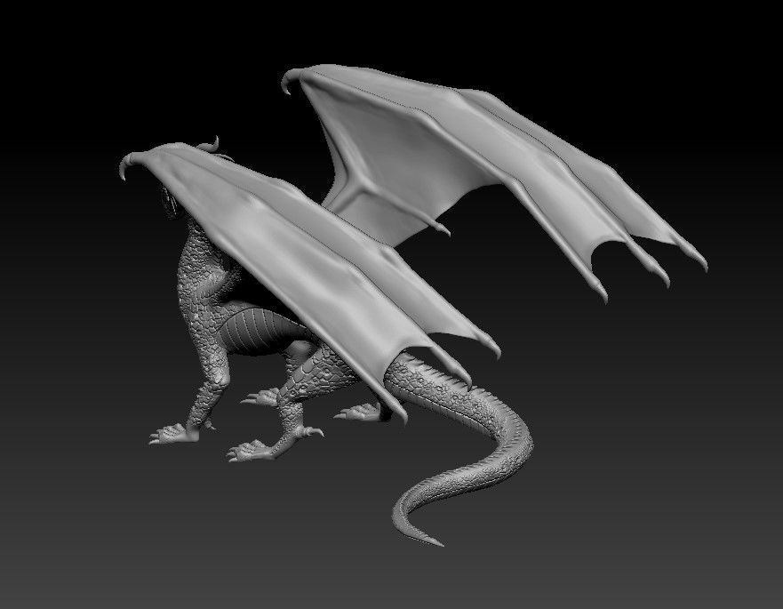 Dragon of Rainbow Tribe from Wings of Fire 3D print model_29