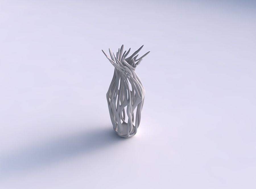 Vase wide mid wth twisted branches widened top