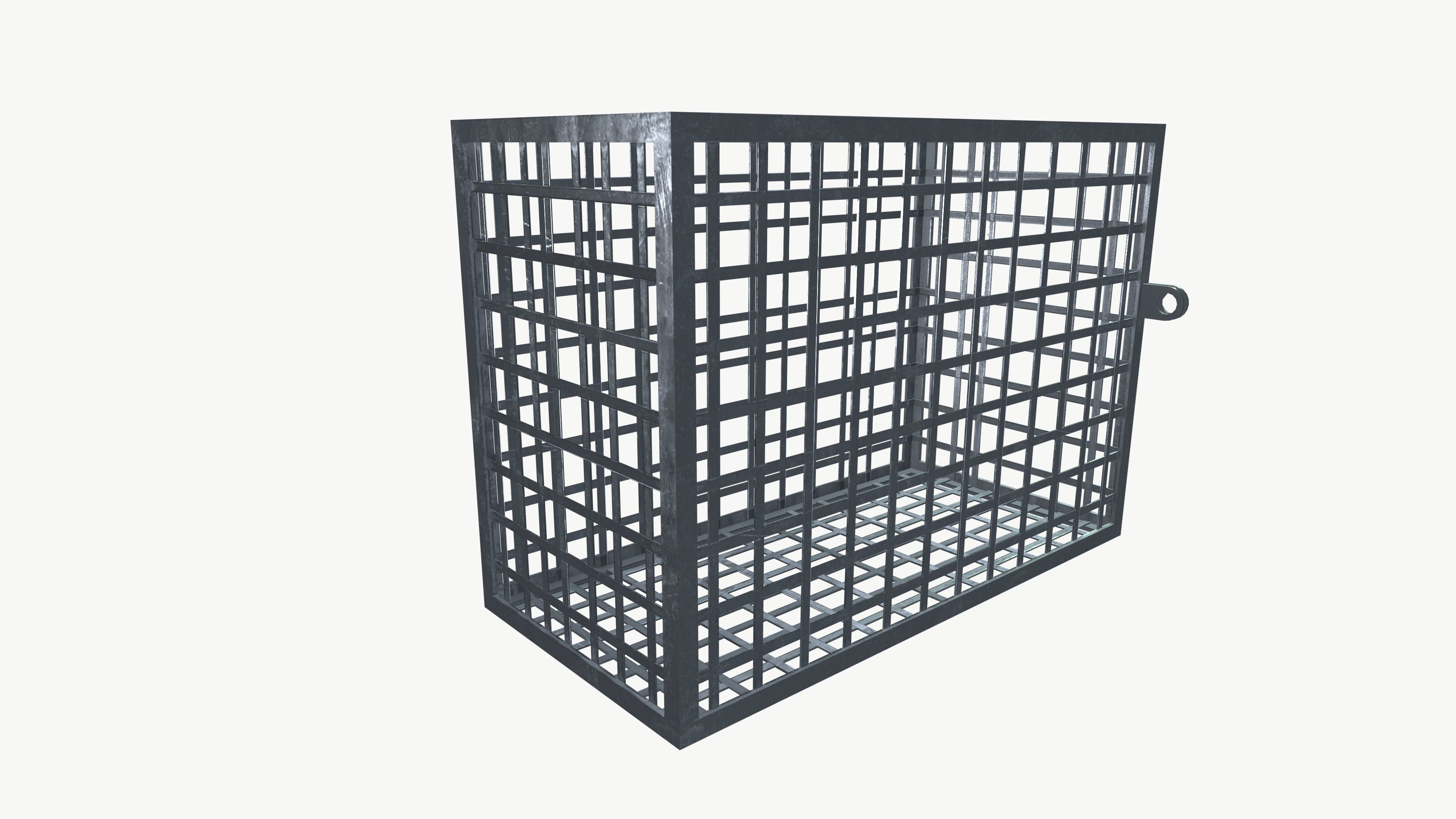 AC Cage Low-poly 3D model_3