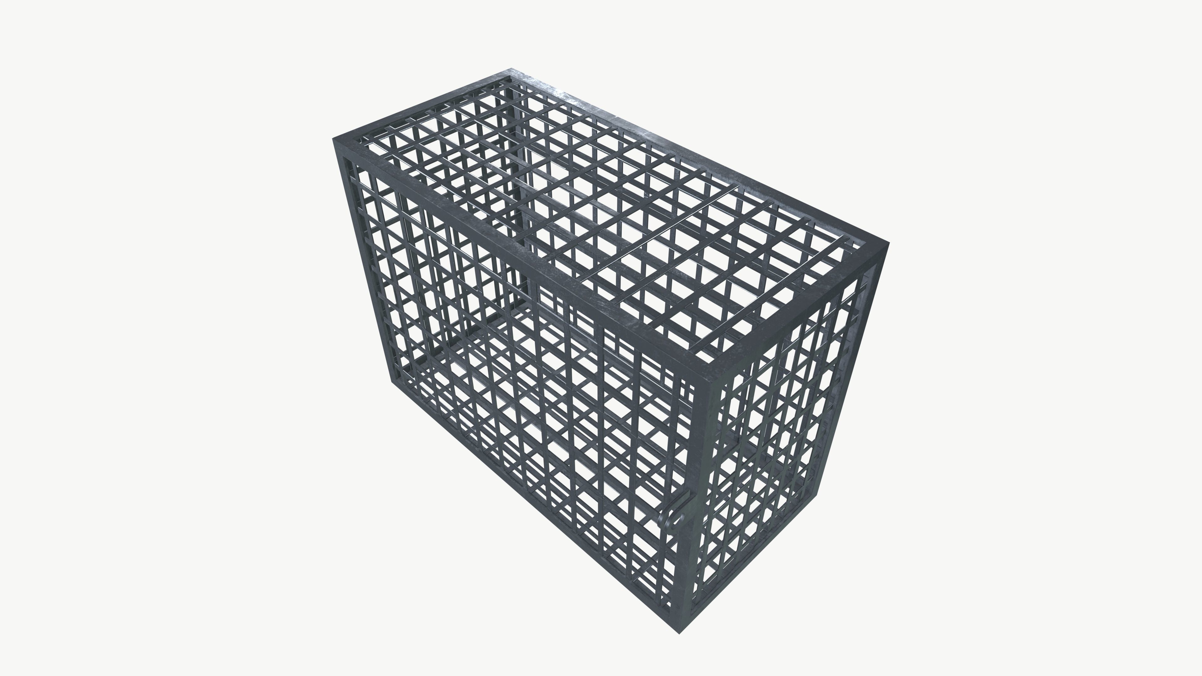 AC Cage Low-poly 3D model_5