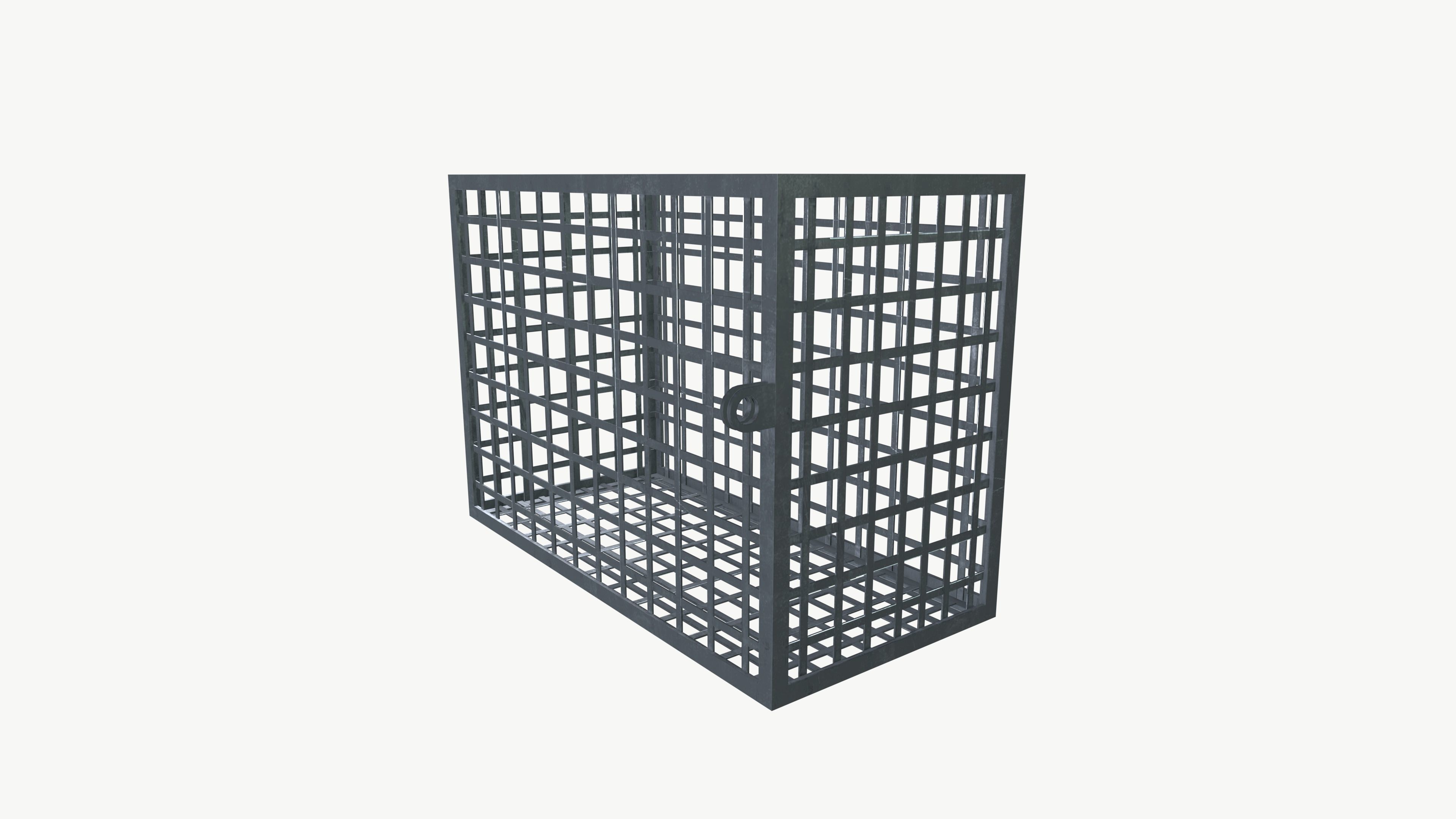 AC Cage Low-poly 3D model_4