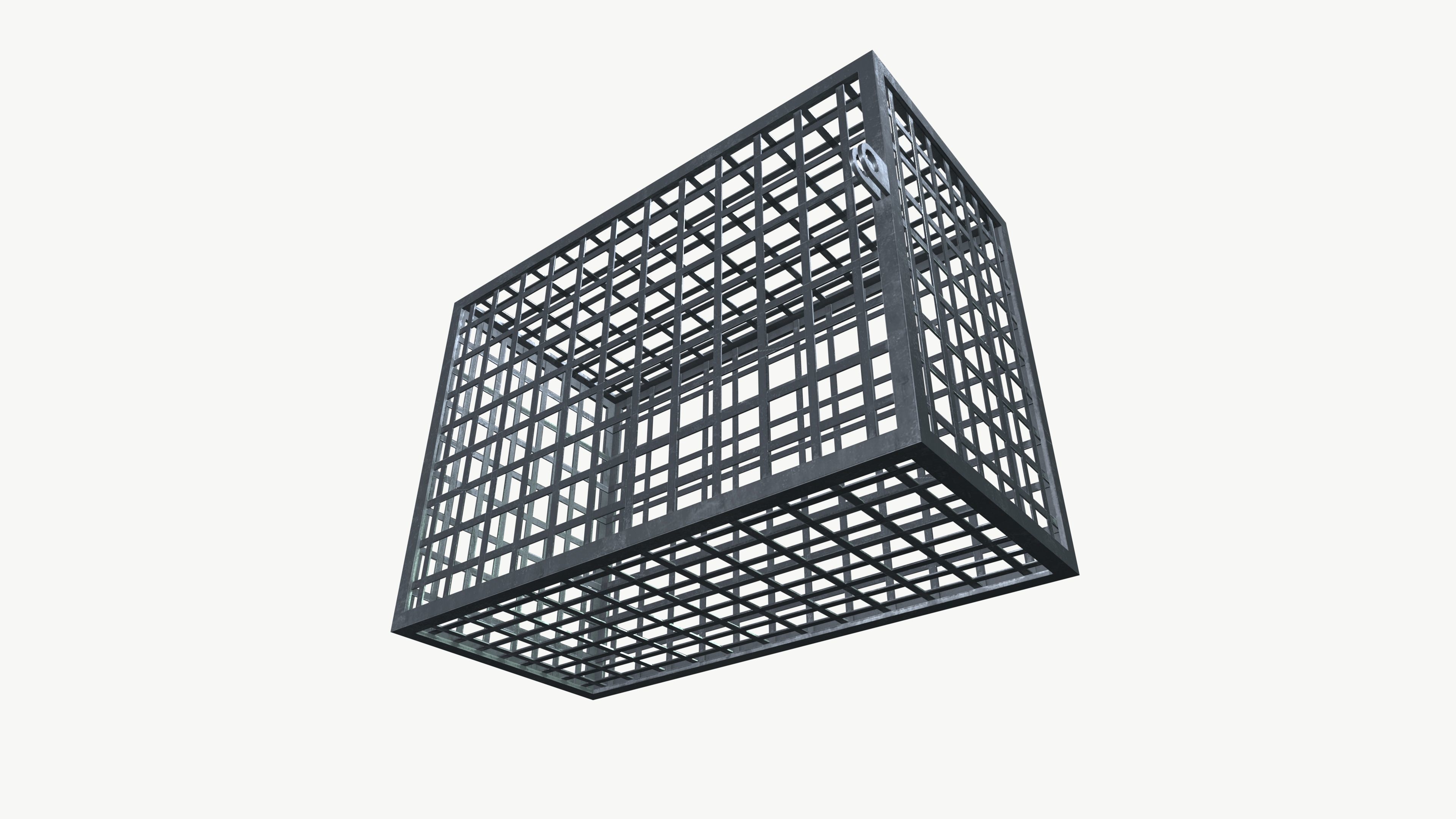 AC Cage Low-poly 3D model_6