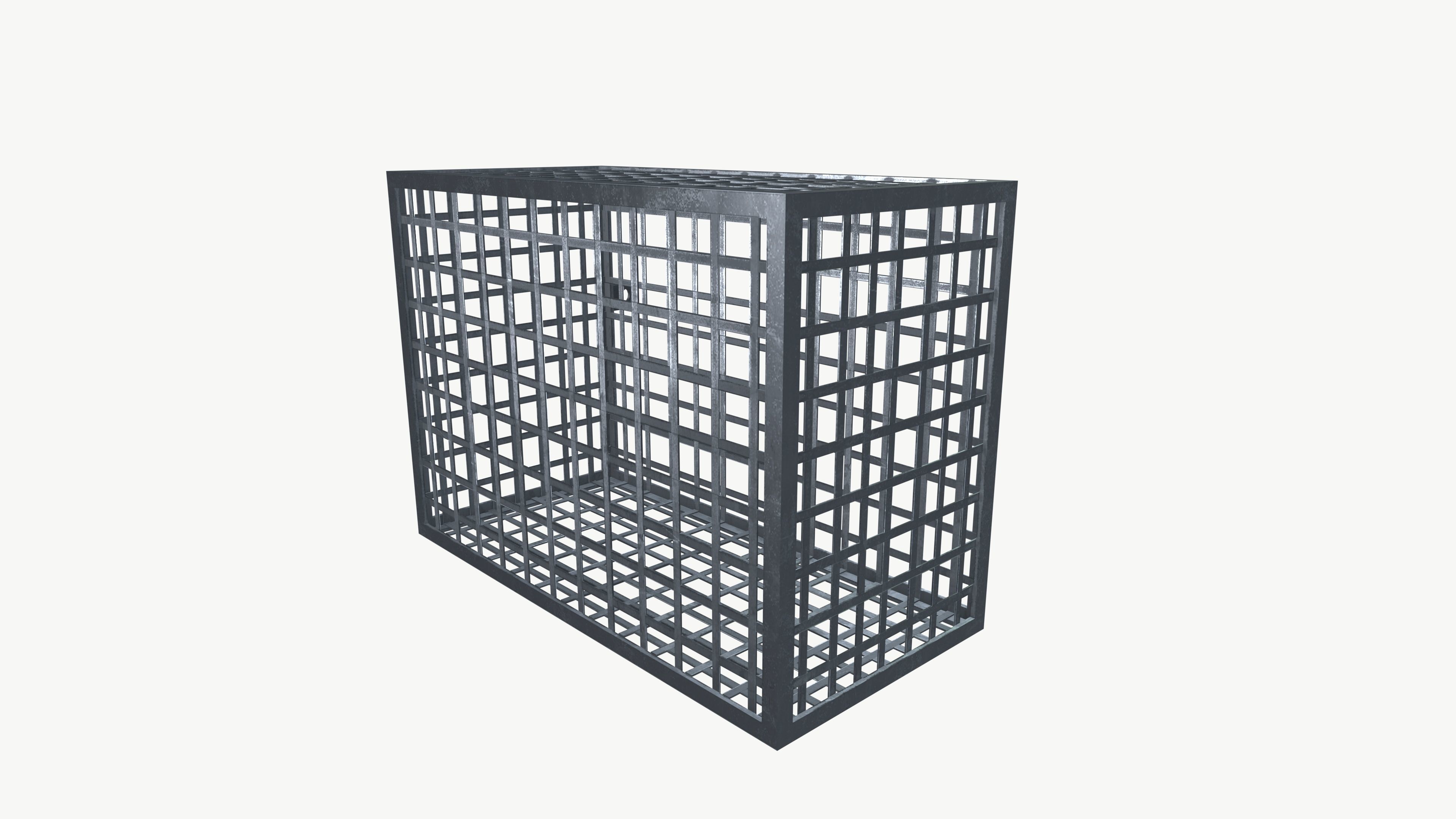 AC Cage Low-poly 3D model_2