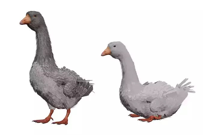 Goose feathered Low-poly 3D model