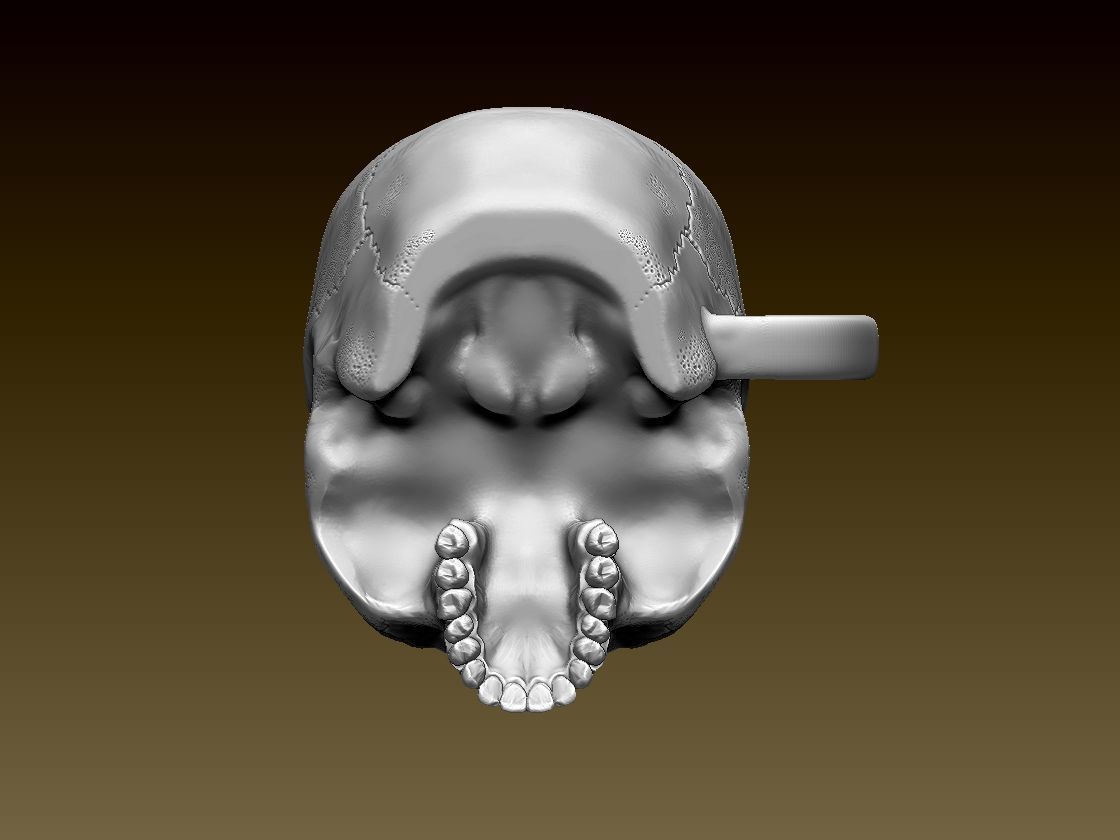 scull mug 3D print model_37