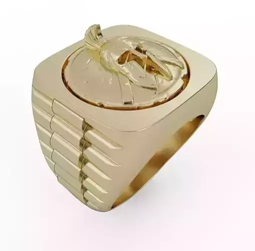Spartan ring 3d