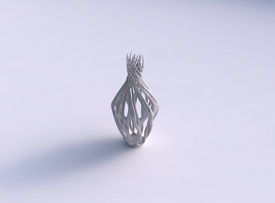 Vase wide mid wth twisted branches long neck 3D print model_0