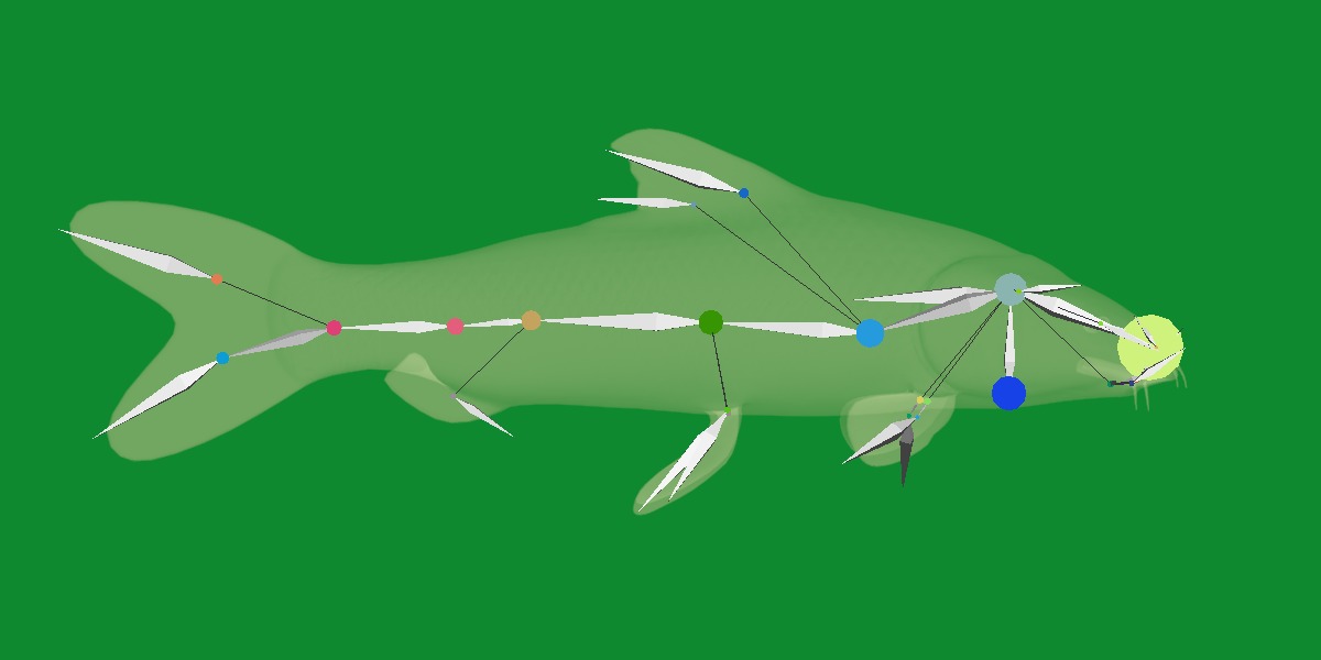 Barbeel Fish Low-poly 3D model_21