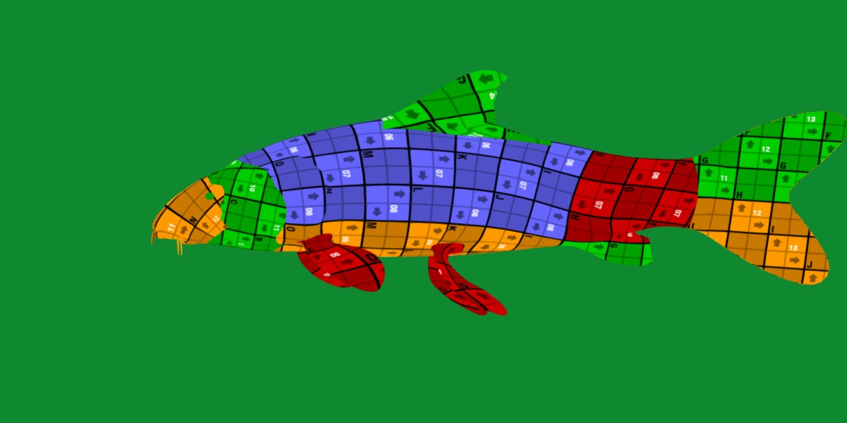 Barbeel Fish Low-poly 3D model_15