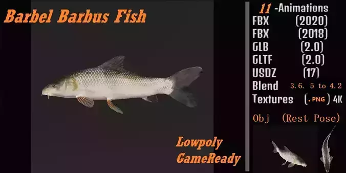 Barbeel Fish Low-poly 3D model