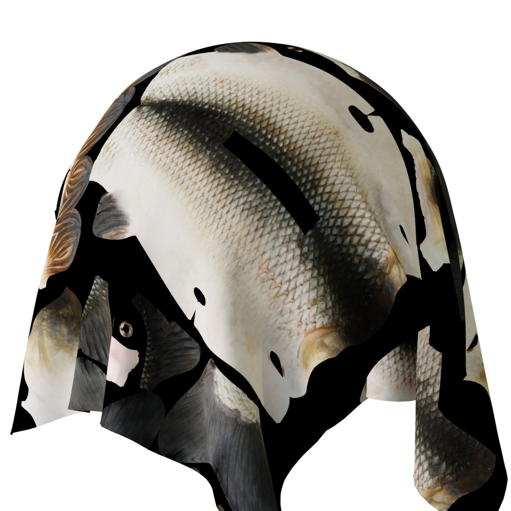 Barbeel Fish Low-poly 3D model_37