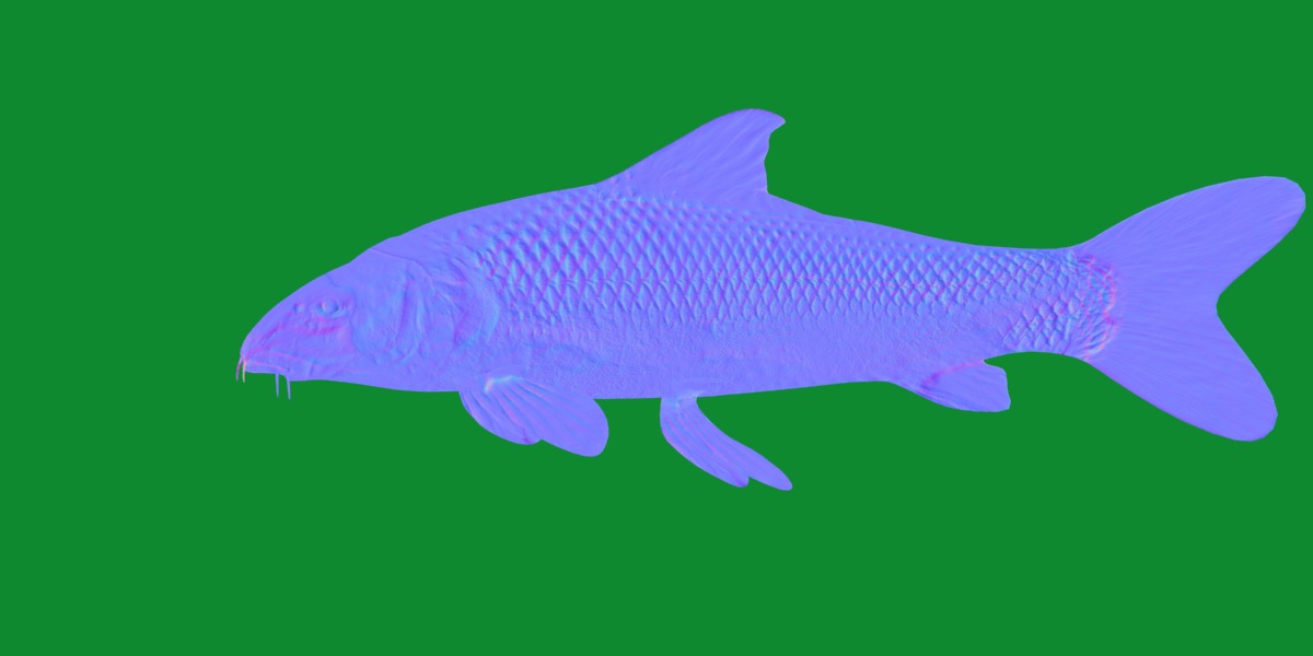 Barbeel Fish Low-poly 3D model_6
