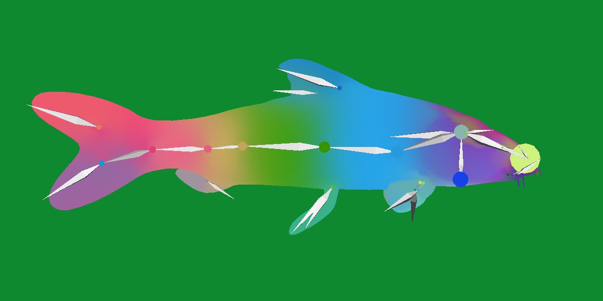 Barbeel Fish Low-poly 3D model_22