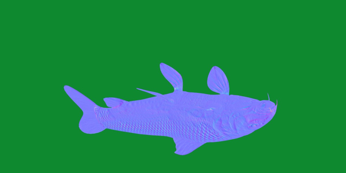 Barbeel Fish Low-poly 3D model_5
