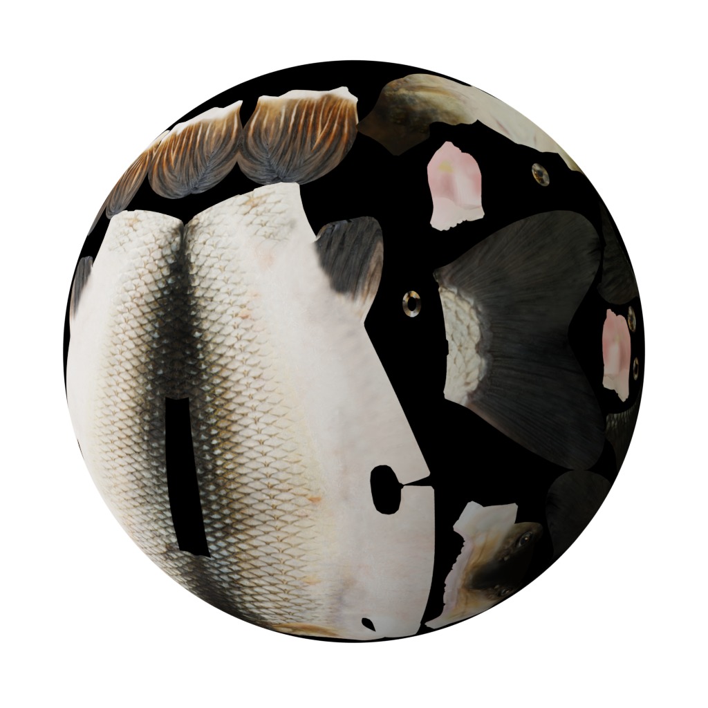 Barbeel Fish Low-poly 3D model_36