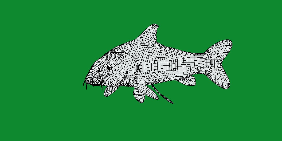 Barbeel Fish Low-poly 3D model_11