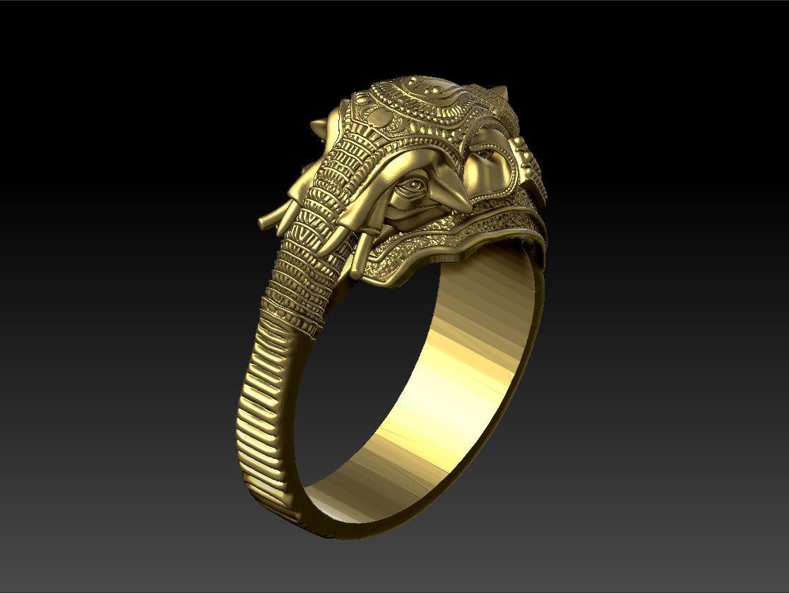 ELEPHANT RING 3D PRINT MODEL 3D model_6
