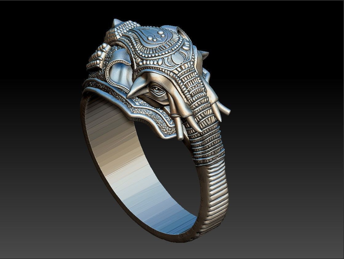 ELEPHANT RING 3D PRINT MODEL 3D model_2