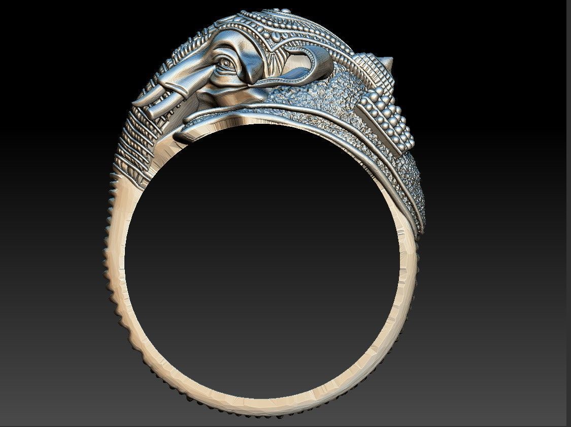ELEPHANT RING 3D PRINT MODEL 3D model_1