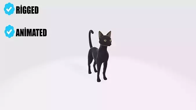Bombay Cat Model Rigged and Animated