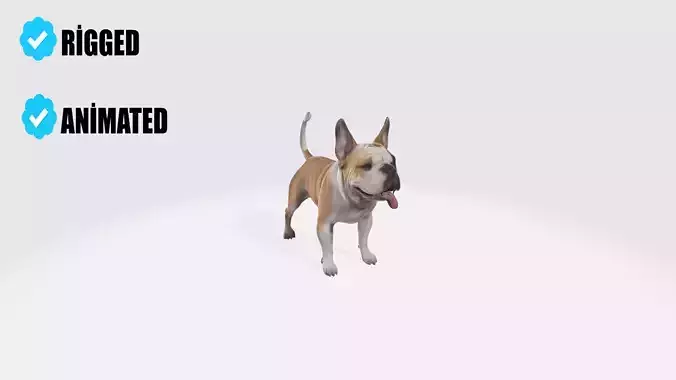 Bulldog Dog Animated and Rigged