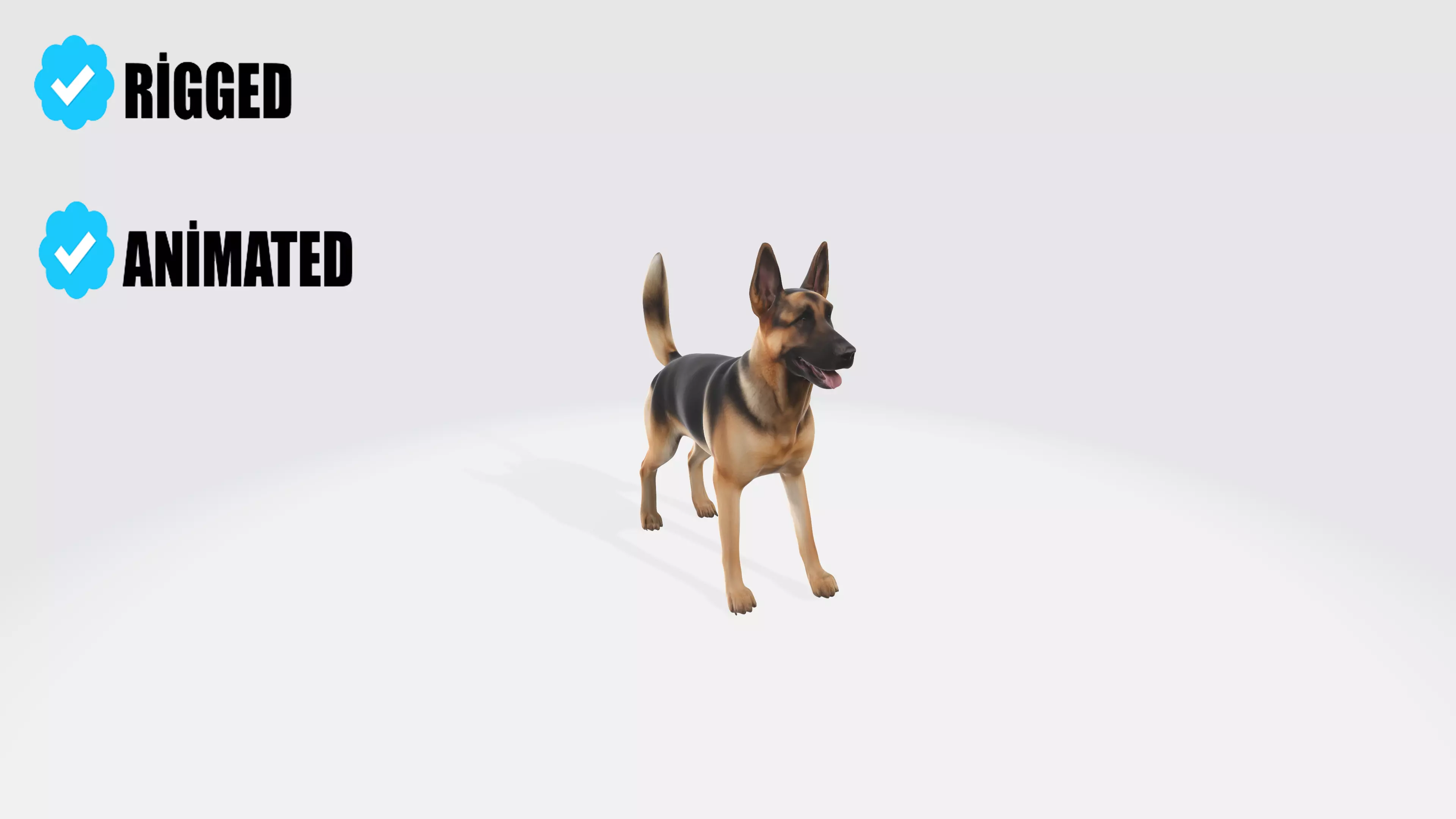 German Shepherd Model Rigged and Animated 3D model_0
