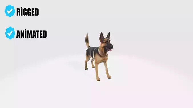 German Shepherd Model Rigged and Animated 3D model