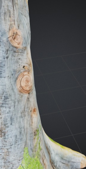 Realistic Tree Stump 3D model_3