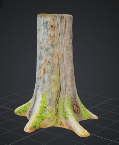 Realistic Tree Stump 3D model_1