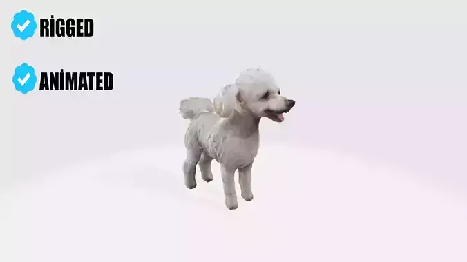  Poodle Dog Animated and Rigged