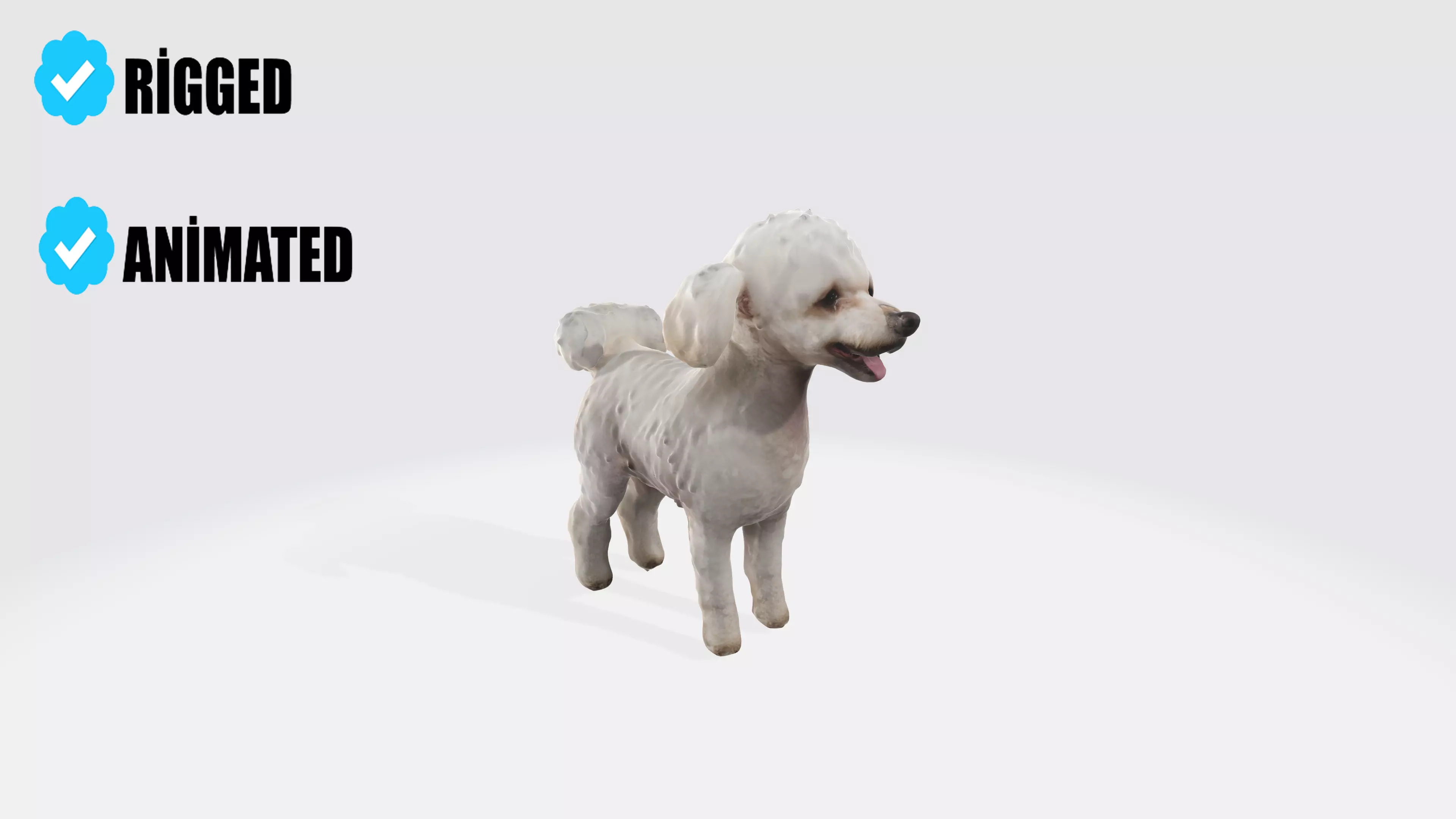 Poodle Dog Animated and Rigged 3D model_0
