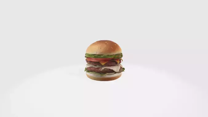Realistic Hamburger Model