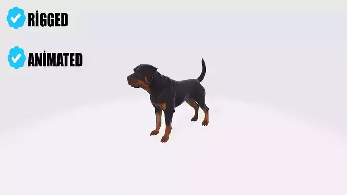 Realistic Rottweiler Dog Animated and Rigged 3D model