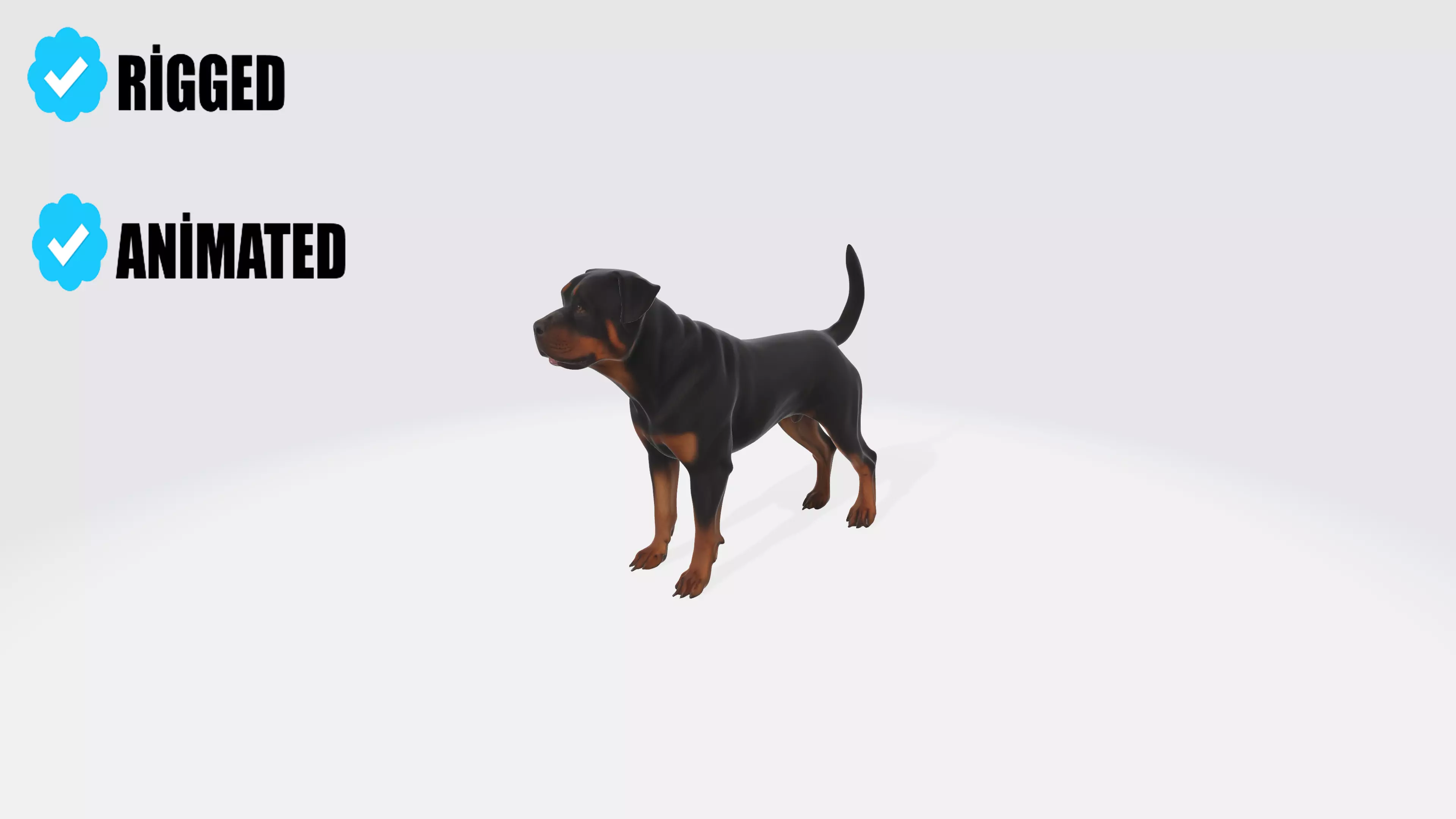 Realistic Rottweiler Dog Animated and Rigged 3D model_0